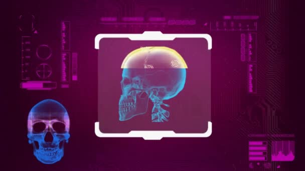 Skull Scanned - Digital Interface - pink — Stock Video