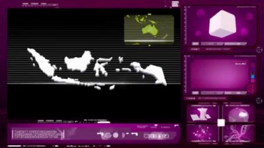 Endonezya - bilgisayar monitörü - pembe 0