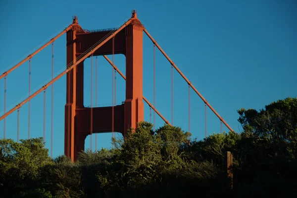 Vrchol mostu Golden Gate a stromy — Stock fotografie