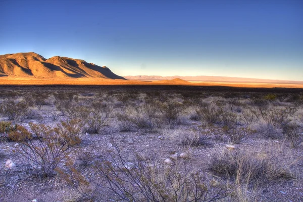 Desierto en el oeste de Texas en los Estados Unidos — Foto de Stock