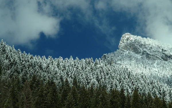 Schnee auf Bäumen und Bergen im Frühling — Stockfoto