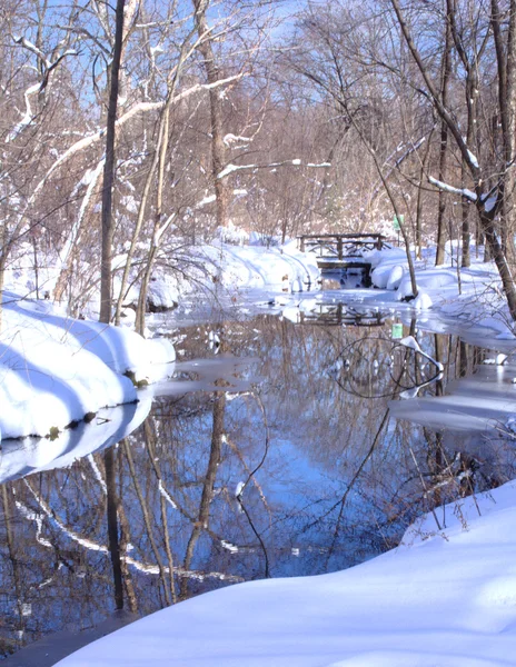 Neve, fiume e alberi — Foto Stock