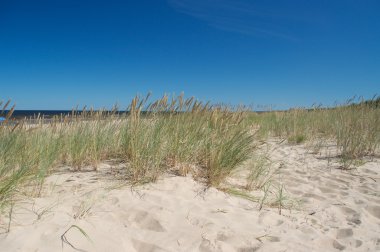 Beyaz dune yakınındaki Riga, Letonya