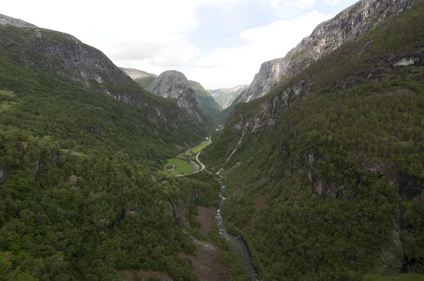 Nature norvégienne — Photo