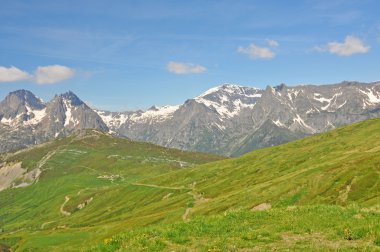 Alp doğa