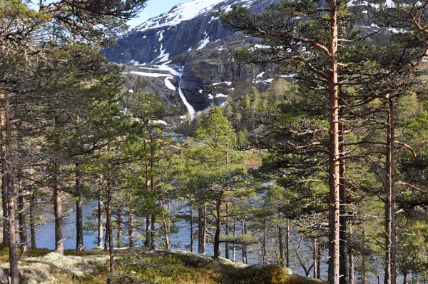 La naturaleza noruega — Foto de Stock