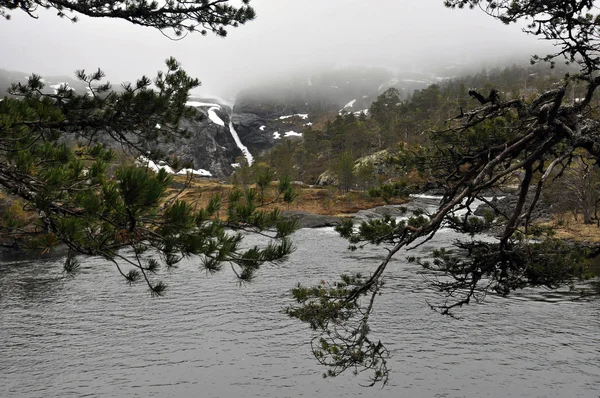 La natura norvegese — Foto Stock