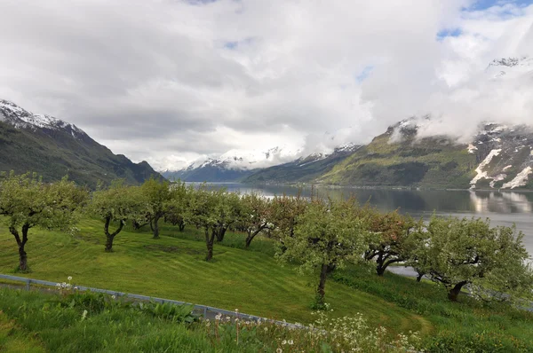 挪威自然 — 图库照片