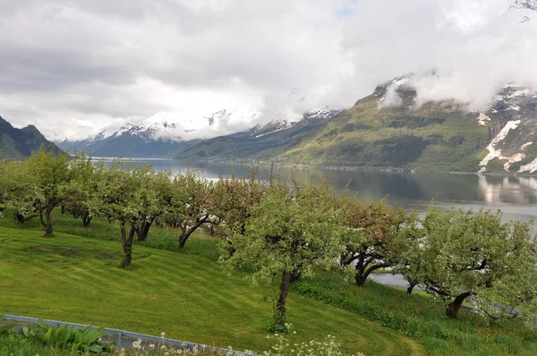 La naturaleza noruega —  Fotos de Stock