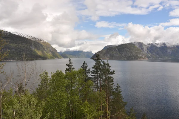 A norvég természetvédelmi — Stock Fotó