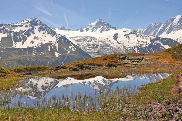 A natureza alpina — Fotografia de Stock