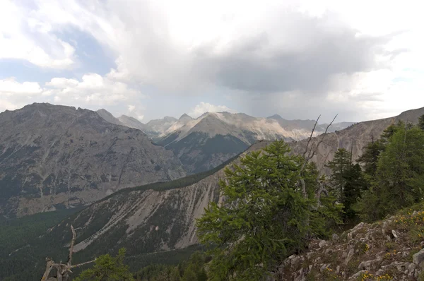 De Alpen, Alpine natuur — Stockfoto