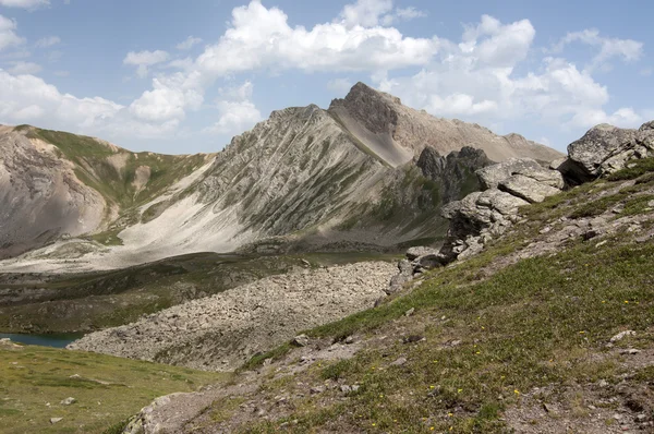 Los Alpes, Naturaleza alpina —  Fotos de Stock