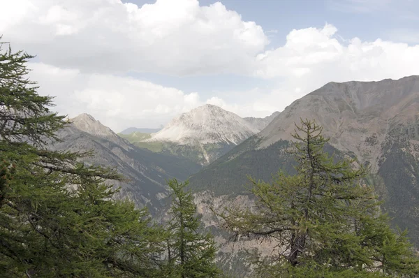 De Alpen, Alpine natuur — Stockfoto