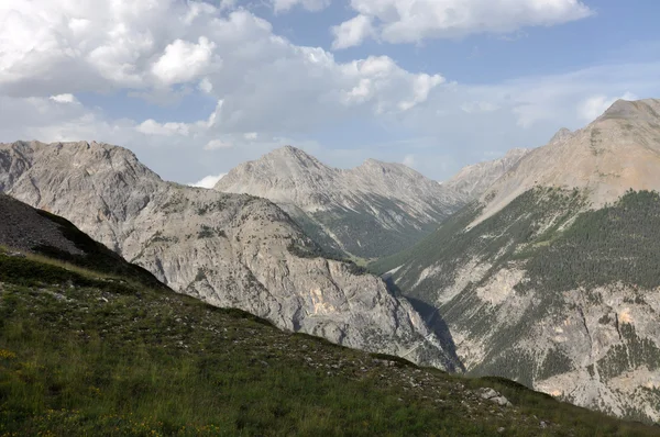 Die Alpen, alpine Natur — Stockfoto