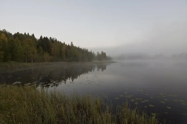 Finlandia, niebla en el agua . — Foto de Stock