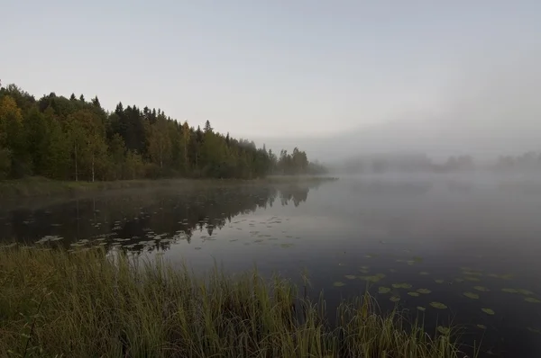 Finlande, brouillard sur l'eau . — Photo