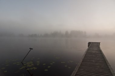 Finlandiya, sis su.