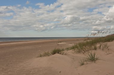 Beyaz dune yakınındaki Riga, Letonya