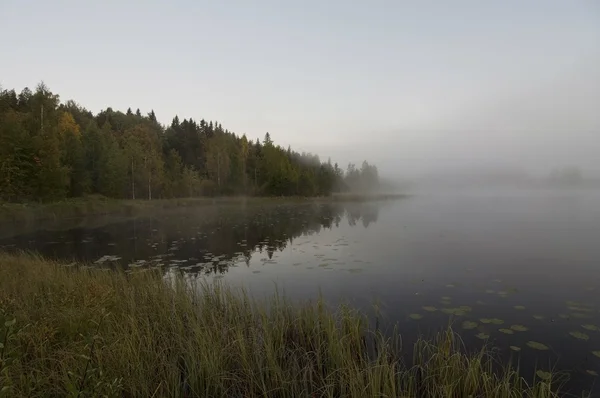 Finlande, brouillard sur l'eau . — Photo