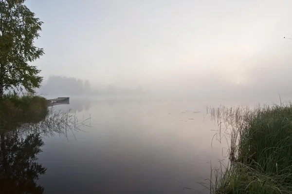 Finlandia, niebla en el agua . — Foto de Stock