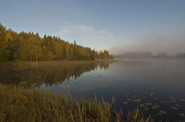 Фінляндія, туман на воді. — стокове фото