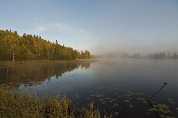 Finlandia, niebla en el agua . — Foto de Stock