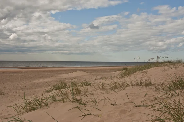 Witte Duin in de buurt van Riga, Letland — Stockfoto