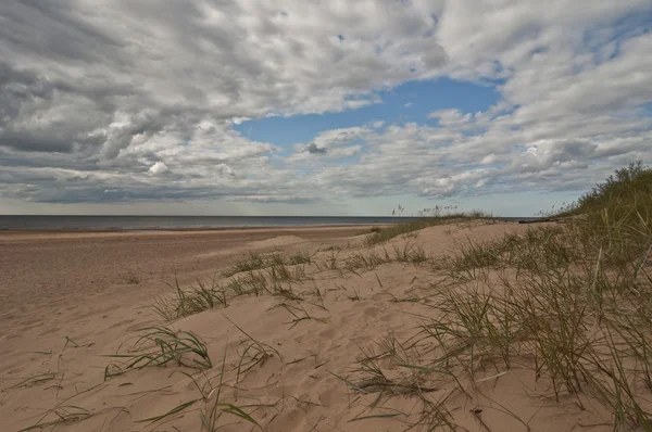 Beyaz dune yakınındaki Riga, Letonya