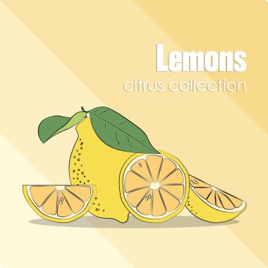 Taze limon arka planı. El çizimi arka plan örtüşmesi. Renkli duvar kağıdı vektörü. Taze meyve koleksiyonu olan kusursuz bir desen. Dekoratif illüstrasyon, yazdırmak için iyidir