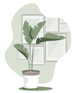 Bir saksının içindeki ev bitkisinin düz çizimi. İç mimari.