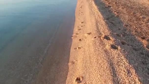 Meereswelle auf dem Sand Drohnenaufnahmen — Stockvideo