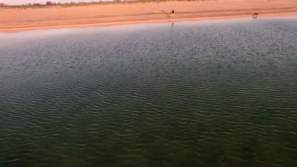 Femme et chien courant sur un beau coucher de soleil d'été ou lever de soleil à la plage. Athlète féminine avec son animal de compagnie s'entraînant ensemble .