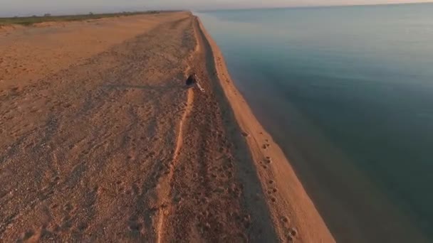 Einsame junge Frau nahe dem Ozean bei Sonnenaufgang Drohnenaufnahmen — Stockvideo