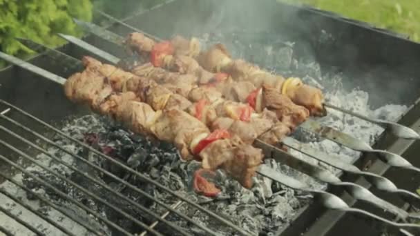 Shish kebab cocinar en una parrilla al aire libre — Vídeos de Stock