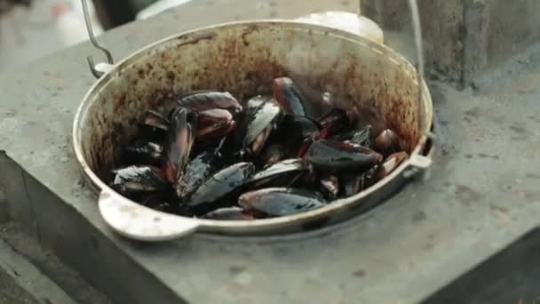 Mussels in the frying pan on grill — Stock Video