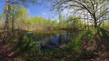 Nehrin üzerinde gün batımı