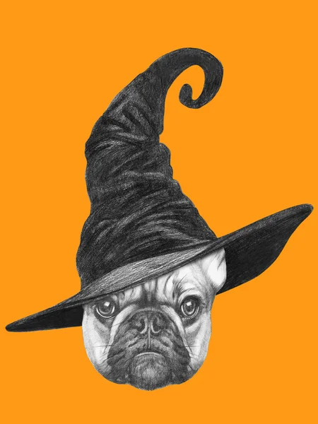 Портрет собаки Пуга з відьмою капелюхом . — стокове фото