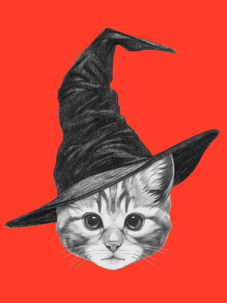 Portrait of Cat with witch hat. — Stock Photo, Image