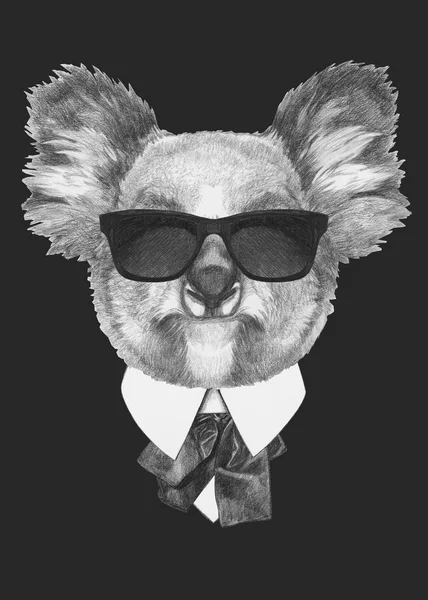Retrato de Koala em terno . — Fotografia de Stock