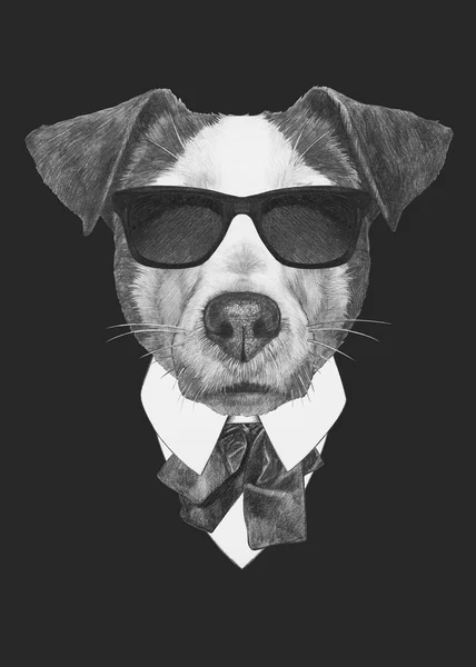 Retrato de Jack Russell en traje . — Foto de Stock