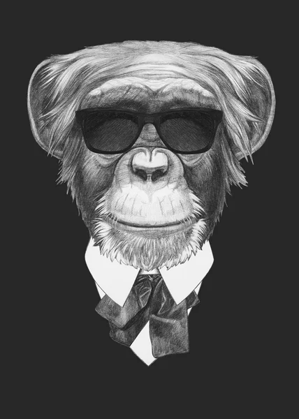 Portret małpa w kolorze. — Zdjęcie stockowe