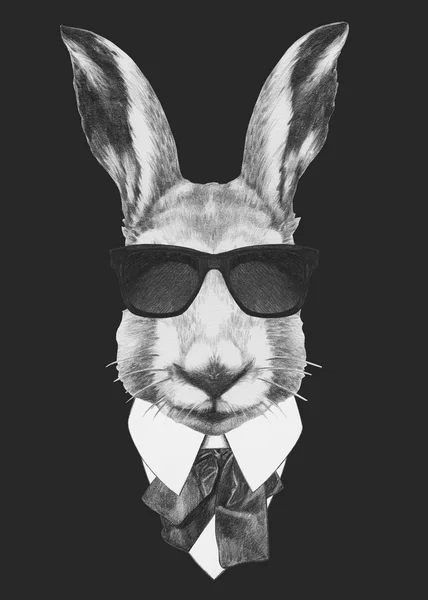 スーツにウサギの肖像. — ストック写真
