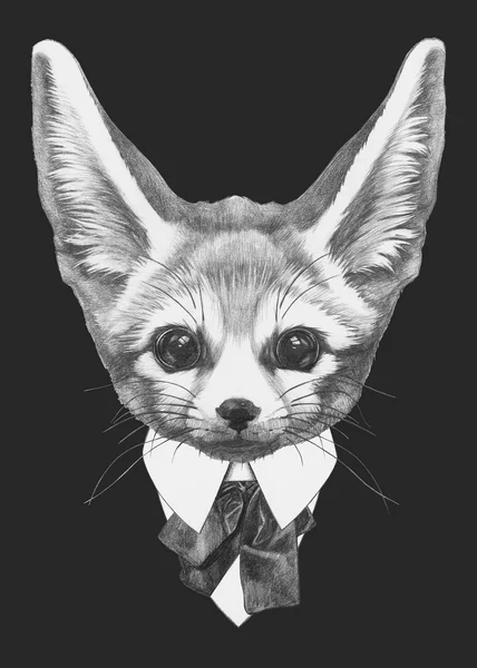 รูปภาพของ Fennec Fox ในชุด . — ภาพถ่ายสต็อก