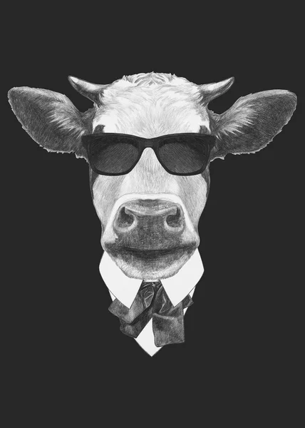 Retrato de vaca en traje . — Foto de Stock