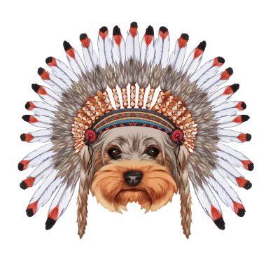 Yorkshire Terrier köpek portre savaş kaporta içinde.