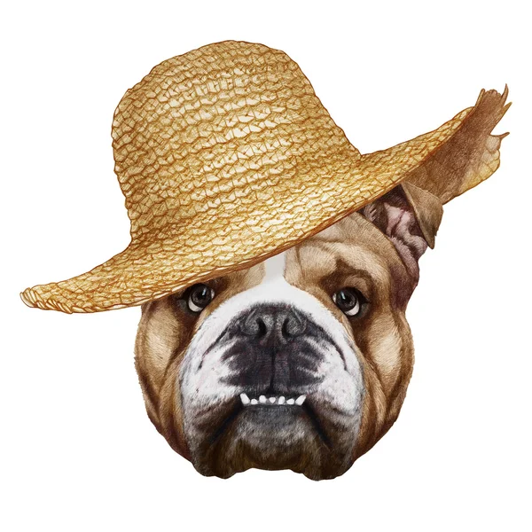 Portrait of English Bulldog with straw hat. — Stok Foto