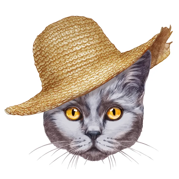 밀 짚 모자와 고양이의 초상화. — 스톡 사진