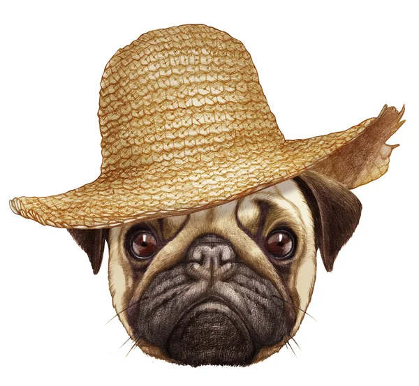 Retrato de Pug con sombrero de paja . —  Fotos de Stock