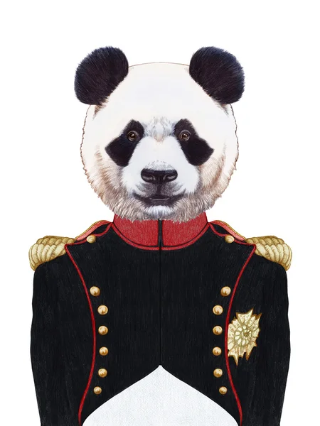 Портрет Панды в военной форме . — стоковое фото